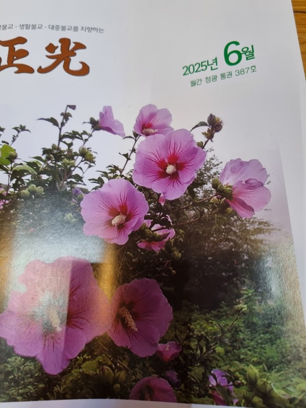90f951a5cf71b929dbd23fb71e64b16e.jpg